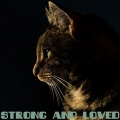 Cat Music、Music For Cats、Cats Music Zone - Caring Soul