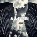苗苗 - 隐形的翅膀