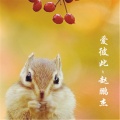 赵鹏杰 - 请不要问