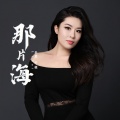 李慧 - 相见恨晚