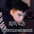 金6 - 极速音符 (DJ版)