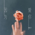 棉子 - 因为爱你