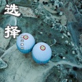 夏天播放 - 选择