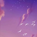 毛宁、杨钰莹 - 心雨