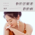 赵洋 - 你的泪藏着我的疼