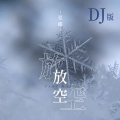 放空 (DJ版)