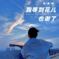 林谦谦 - 我等到花儿也谢了