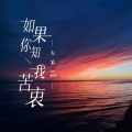 大笨 - 如果你知我苦衷