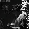 寇dd - 爱都爱了