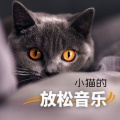 猫咪安眠曲 - 古典音乐