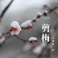 小西瓜一枚 - 一剪梅
