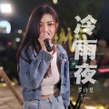 罗诗慧 - 冷雨夜