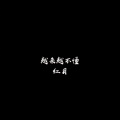 蔡健雅 - 越来越不懂 (DJ红月版)