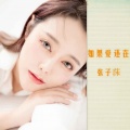 张子莯 - 如果爱还在
