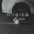 阿克扬 - 8484848嘿嘿