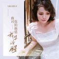 车厘子的车车 - 面对你的绝情我早该醒