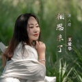 王爱华 - 相思未了谁人疼