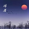 鸿雁（DJ版）