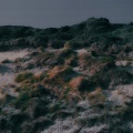 Vancouver Sleep Clinic、Pop Goes Ambient、Amelia Magdalena - Riptide