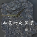 张洛一 - 如果时光倒流