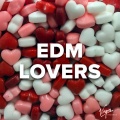 Noel Holler、Fedde Le Grand、French Original - Tokyo Lights