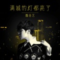 魏佳艺 - 满城的灯都亮了
