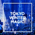 クリス・ハート - 毎日がクリスマス!