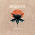 TingMusic - Улетали птицами гордыми