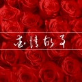 七夕、情人节 - 爱情表白