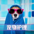动物音乐、宠物安眠曲 - 猫咪在睡觉