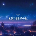 豆包 - 月亮不曾奔我而来
