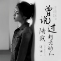 洋澜一 - 曾说过陪我到老的人