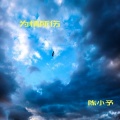 陈小予 - 我记得0.8x