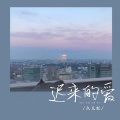久儿红 - 迟来的爱
