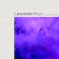 Lavender Haze (Snakehips Remix|Explicit)