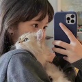 泼水节进行曲