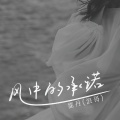 霈丹(浪哥) - 风中的承诺
