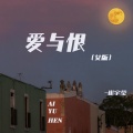崔宇莹 - 爱与恨
