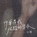 心姐 - 你曾是我炫耀的资本