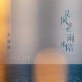 王超然 - 是风就把雨来陪