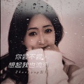 赵洋 - 你会不会想起我也流泪