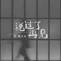 说过了再见 (DJ京仔版)