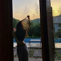 DJ Dimixer - Ass Like That (DJ麻吉小黄版)