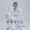 李涛好声音 - 对你爱不完