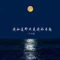一个小孩 - 我知道那不是我的月亮