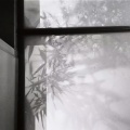 买辣椒也用券 - 夏夜最后的烟火