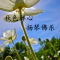 春花秋月 (扬琴休闲)