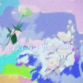 南风 - 山茶花读不懂白玫瑰