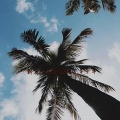 小京东 - 到底又兜兜转转了多少年