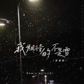 我期待的不是雪 (圣诞版)